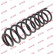 Coil Spring K-Flex RC5496 Kayaba