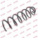 Coil Spring K-Flex RC5768 Kayaba