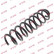 Coil Spring K-Flex RC5881 Kayaba