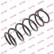 Coil Spring K-Flex RC5905 Kayaba