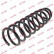 Coil Spring K-Flex RC5907 Kayaba