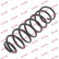 Coil Spring K-Flex RC6352 Kayaba