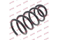 Coil Spring K-Flex RC6366 Kayaba