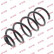 Coil Spring K-Flex RC6370 Kayaba