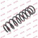 Coil Spring K-Flex RC6418 Kayaba