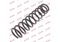 Coil Spring K-Flex RC6419 Kayaba