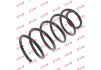 Coil Spring K-Flex RC6696 Kayaba