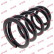 Coil Spring K-Flex RC6728 Kayaba