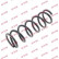 Coil Spring K-Flex RD1622 Kayaba