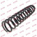 Coil Spring K-Flex RD2366 Kayaba