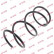 Coil Spring K-Flex RD2405 Kayaba