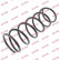 Coil Spring K-Flex RD2476 Kayaba