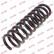 Coil Spring K-Flex RD5362 Kayaba