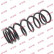 Coil Spring K-Flex RD5411 Kayaba