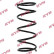 Coil Spring K-Flex RD5960 Kayaba, Thumbnail 2