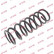 Coil Spring K-Flex RD6505 Kayaba