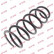 Coil Spring K-Flex RF6513 Kayaba