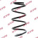 Coil Spring K-Flex RG1001 Kayaba
