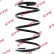 Coil Spring K-Flex RG1002 Kayaba