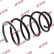 Coil Spring K-Flex RG1002 Kayaba, Thumbnail 2