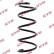 Coil Spring K-Flex RG1005 Kayaba