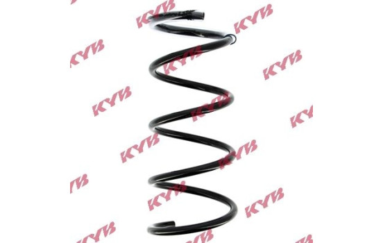 Coil Spring K-Flex RG1005 Kayaba