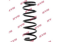 Coil Spring K-Flex RG1009 Kayaba
