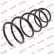 Coil Spring K-Flex RG1024 Kayaba
