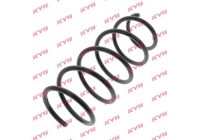 Coil Spring K-Flex RG1138 Kayaba