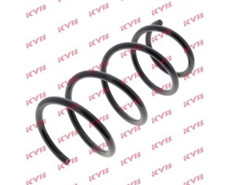 Coil Spring K-Flex RG1141 Kayaba