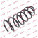 Coil Spring K-Flex RG1169 Kayaba