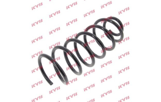 Coil Spring K-Flex RG1169 Kayaba