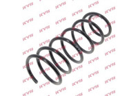 Coil Spring K-Flex RG1262 Kayaba