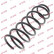 Coil Spring K-Flex RG1266 Kayaba
