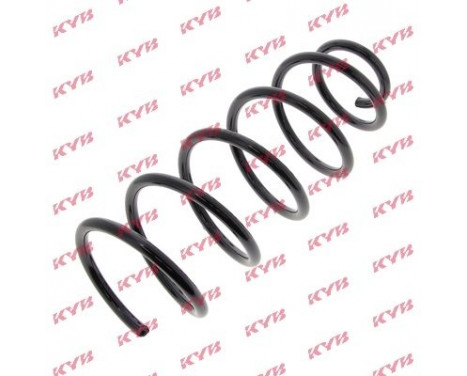 Coil Spring K-Flex RG1294 Kayaba