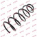 Coil Spring K-Flex RG1294 Kayaba