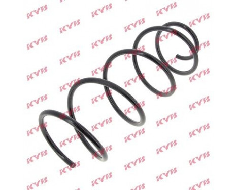 Coil Spring K-Flex RG1346 Kayaba