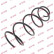 Coil Spring K-Flex RG1346 Kayaba