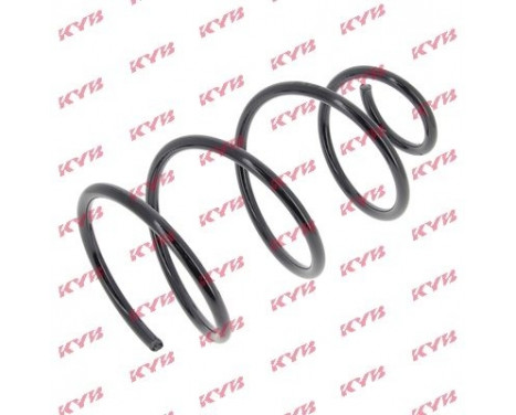 Coil Spring K-Flex RG1351 Kayaba