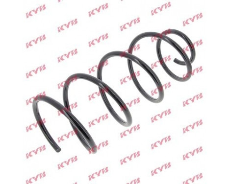 Coil Spring K-Flex RG1363 Kayaba