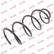 Coil Spring K-Flex RG1363 Kayaba