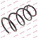 Coil Spring K-Flex RG1568 Kayaba