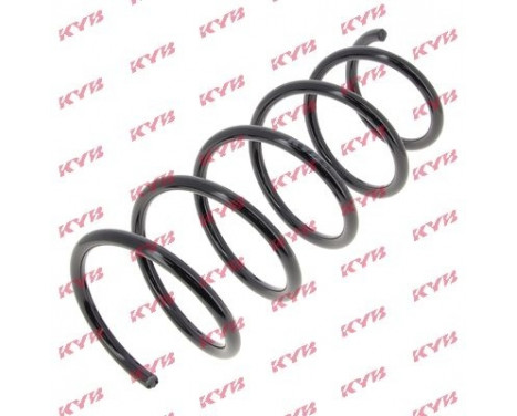 Coil Spring K-Flex RG1573 Kayaba