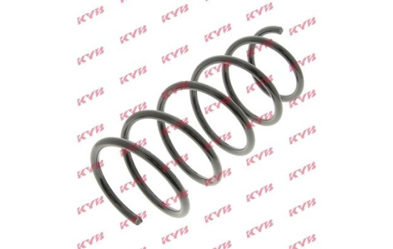 Coil Spring K-Flex RG1574 Kayaba