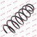 Coil Spring K-Flex RG1642 Kayaba