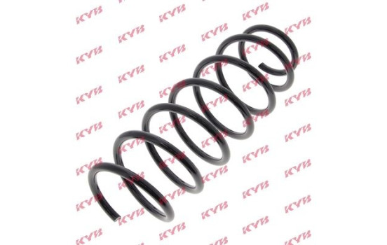 Coil Spring K-Flex RG1642 Kayaba