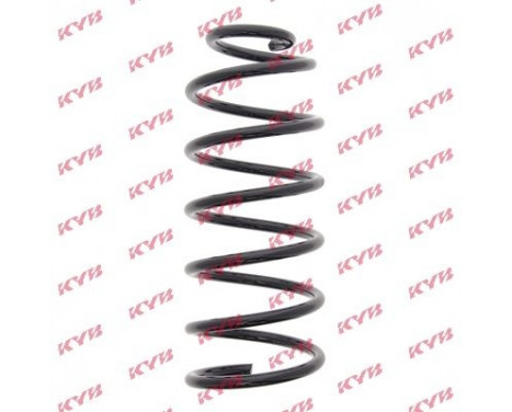 Coil Spring K-Flex RG1646 Kayaba, Image 2