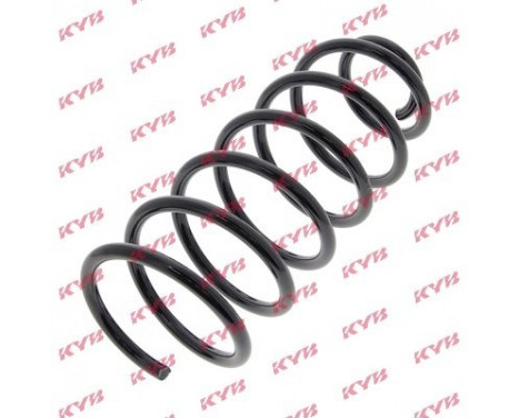 Coil Spring K-Flex RG1646 Kayaba