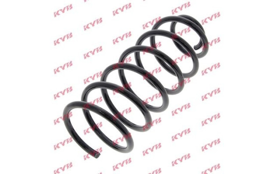 Coil Spring K-Flex RG1646 Kayaba