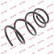 Coil Spring K-Flex RG3065 Kayaba